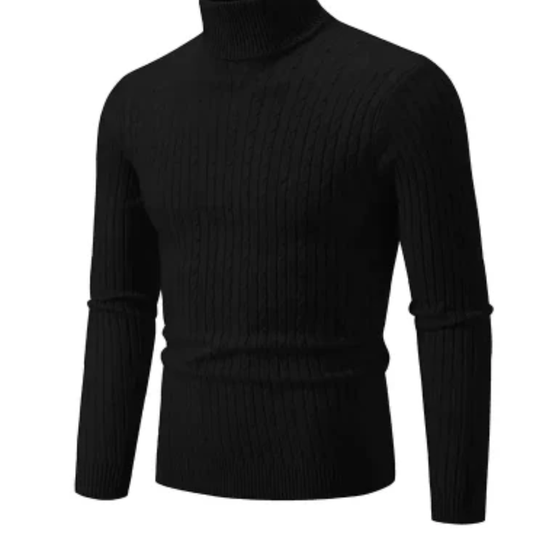 Men's thermal roll neck top